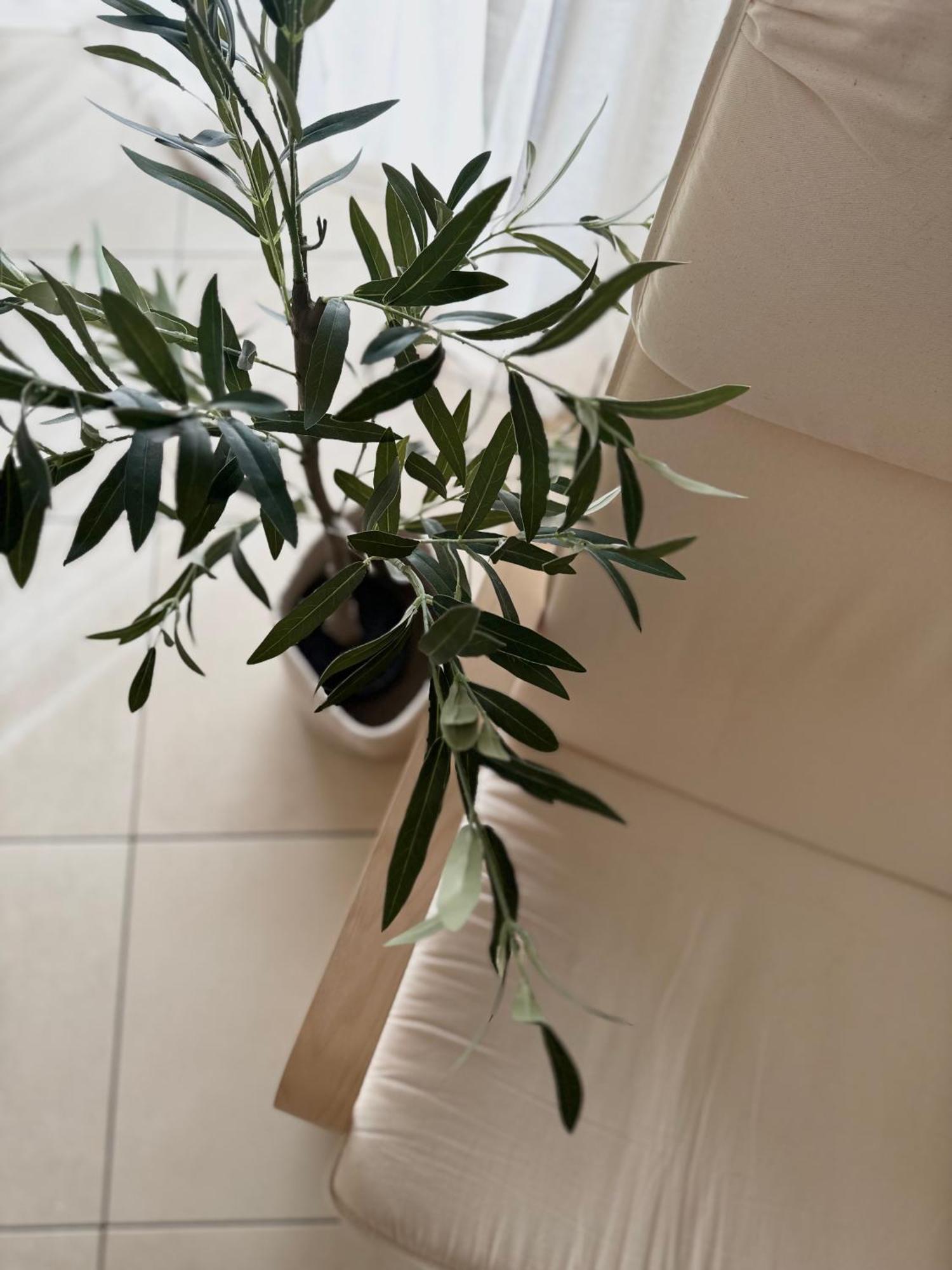 Apartment Roky Povljana Ngoại thất bức ảnh